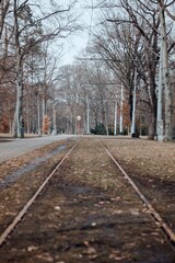 Empty tram railway leading into the city park forest
