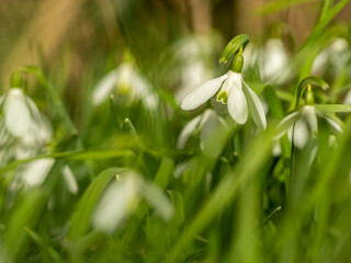 Obraz premium OLYMPUS DIGITAL CAMERA