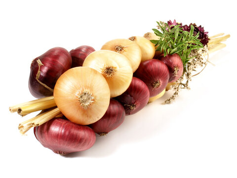 Zwiebelzopf - Kleine Zwiebel Freigestellt