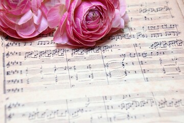 rose and music