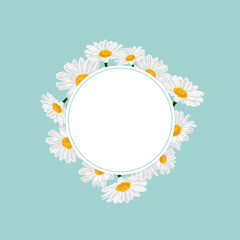 Floral card template. Daisy chamomile flowers bloom wreath round. Vector illustration.