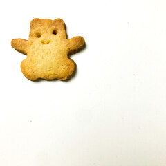 White space with bear biscuit