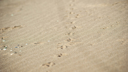 Fototapeta na wymiar footprint on sand