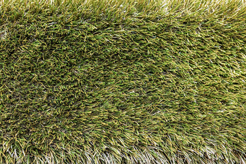 Background from green spring grass. Texture. Backdrop