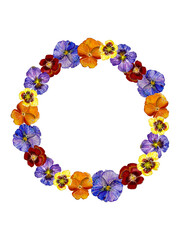 Coloful a wreath of violets