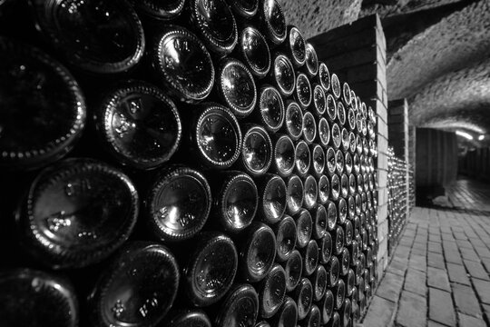 Black and white. Small wine cellar. The lot of glass bottles on the shelves. Storage and production. warehouse.