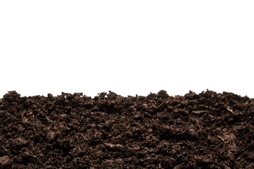 Black land for plant.