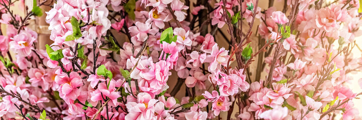 Obraz premium Ornamental plant, branches with pink sakura flowers on blurred background.Banner