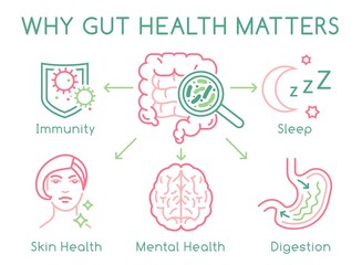 Gut health horizontal poster. Editable vector illustration - 421284352