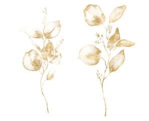 Watercolor floral set of gold eucalyptus seeds, branches and leaves. Hand painted silver dollar eucalyptus isolated on white background. Illustration for design, print, fabric or background. © yuliya_derbisheva