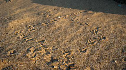 footprint in sand