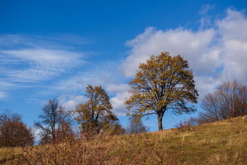 Rural landscape with beautiful cloudy sky, Armenia