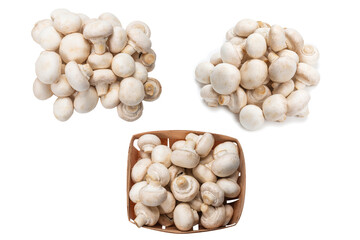 Champignon mushroom isolated on white background.