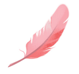 Clipart pink bird feather. Valentine's Day. Wedding invitation. Cute illustration in cartoon childish style. The image is isolated on a white background.