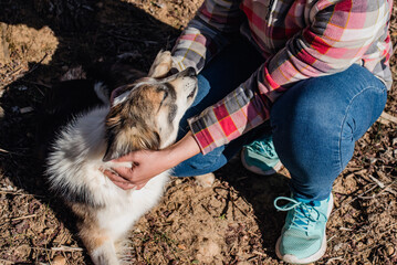 Detalle de una mujer joven acariciando a su perro border collie en el parque. Jugando con un lindo perro.