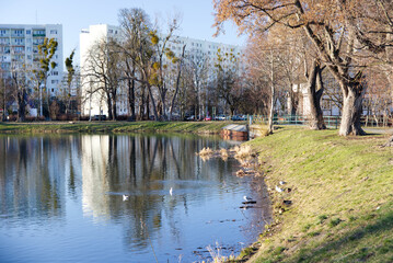 Staw w gdańsku z widokiem na Żabiankę © Marcin