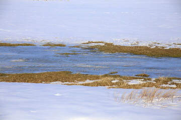 Wintertime with frozen stream and dry vegetation in the snow