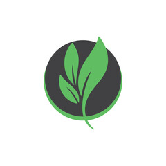 Plant and leaves icon. Leaf symbol of ecology, enviroment and nature. Vegetarian and vegan pictogram design.