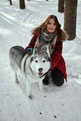 Cute girl in a winter park. A woman plays with a dog. Girl in a red jacket with a hood plays with a husky
