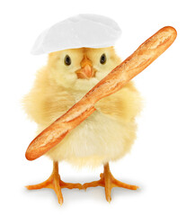 Cute cool chick baker with long thin bread loaf funny conceptual image
