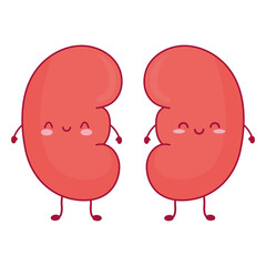 cute kidneys icons