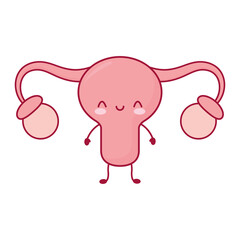 smiling uterus isolated