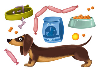 Clipart set of dog items. Pet care. Food, collar, sausages, toys, ball. Cartoon childrens illustration. Dachshund breed. The image is isolated on a white background.
