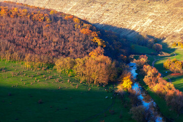 Aerial view of forest meadow and hills on the riverside . Panoramic image of treetops and green...