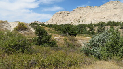 Trees in the Badlands of South Dakota Wilderness