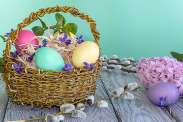 Colorful easter eggs in wicker basket on table made of old boards, on turquoise background. Easter Table is decorated with and spring flowers: wild violets, hyacinth and sprig of willow. Colorful East