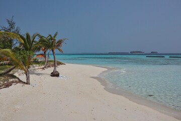 Fototapeta na wymiar Sandy Beach and Palm Trees in Beautiful Resort in Maldives. Komandoo Island Resort. Perfect Vacation.