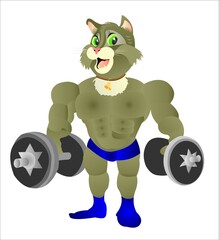 Cat muscled bodybuilder sportsman strong
