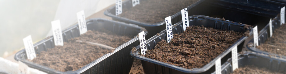 Fototapeta na wymiar Bacs à semis étiquetés pour reconnaître les plantes qui vont pousser, dans une serre familiale