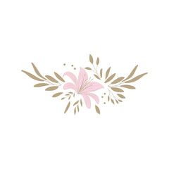 pink flowers on white background