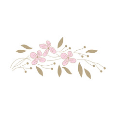 pink flowers on white background