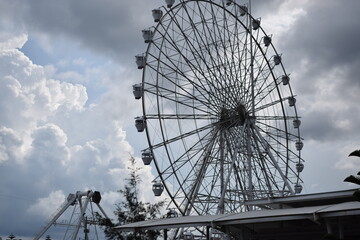 A large ferris wheel with pine trees