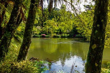 Views while walking around the gardens. Pukekura Park, Taranaki, New Zealand