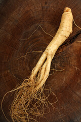 Ginseng roots on a wooden  background