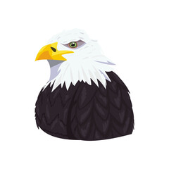 Eagle bird animal