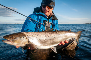 Spring silver sea trout caught on the fly rod