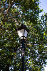 Vintage street lamp on a background of green foliage and sky.