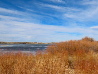 Scenic views of Bosque del Apache National Wildlife Refuge in Socorro County, New Mexico