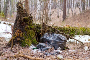 discarded garbage in the forest by a tree that has rotted