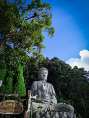 statue of buddha in the park