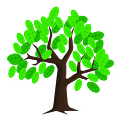 Green Tree with Leaves. Vector outline Illustration. Plant in Garden.