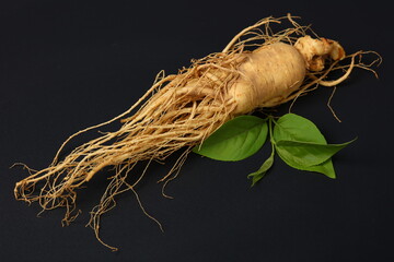 korean wild ginseng root on black background © Hongyan