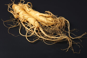 korean wild ginseng root on black background