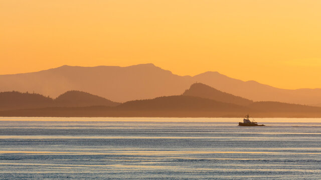 USA, Washington State, San Juan Islands. Tugboat At Sunset.