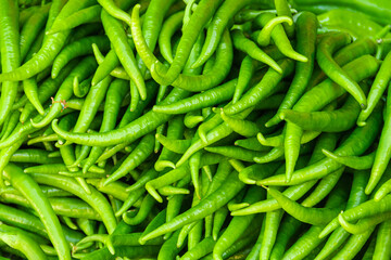 plenty of long green hot peppers. fresh and organic vegetables at the farmers' market. seasonal harvesting of chili peppers. wallpaper.