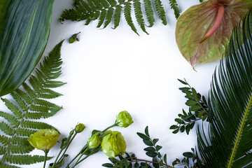 Green tropical leaves branches on white background flat lay.